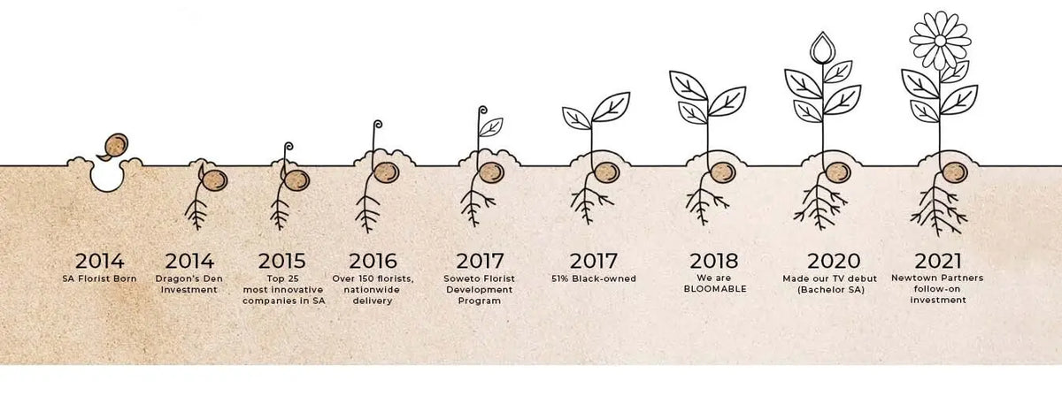 Illustrated timeline of a plant's growth from seedling to mature plant with key milestones.