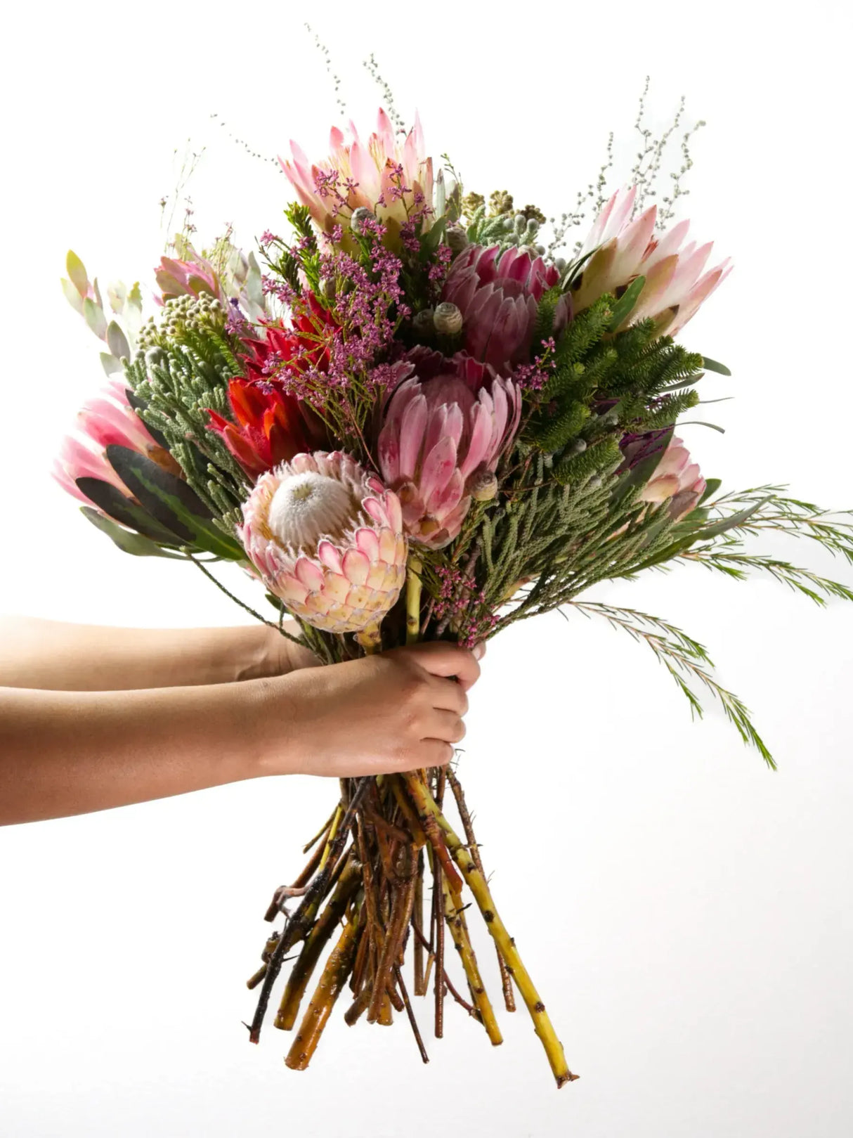 Bloomable's Girl You Is Fynbos protea bouquet held by hands against white background. Features pink and mauve proteas, blushing brides, red leucadendrons, and textural greenery with natural woody stems. Perfect South African-inspired gift for Mother's Day, Women's Day, or special celebrations with same-day delivery.