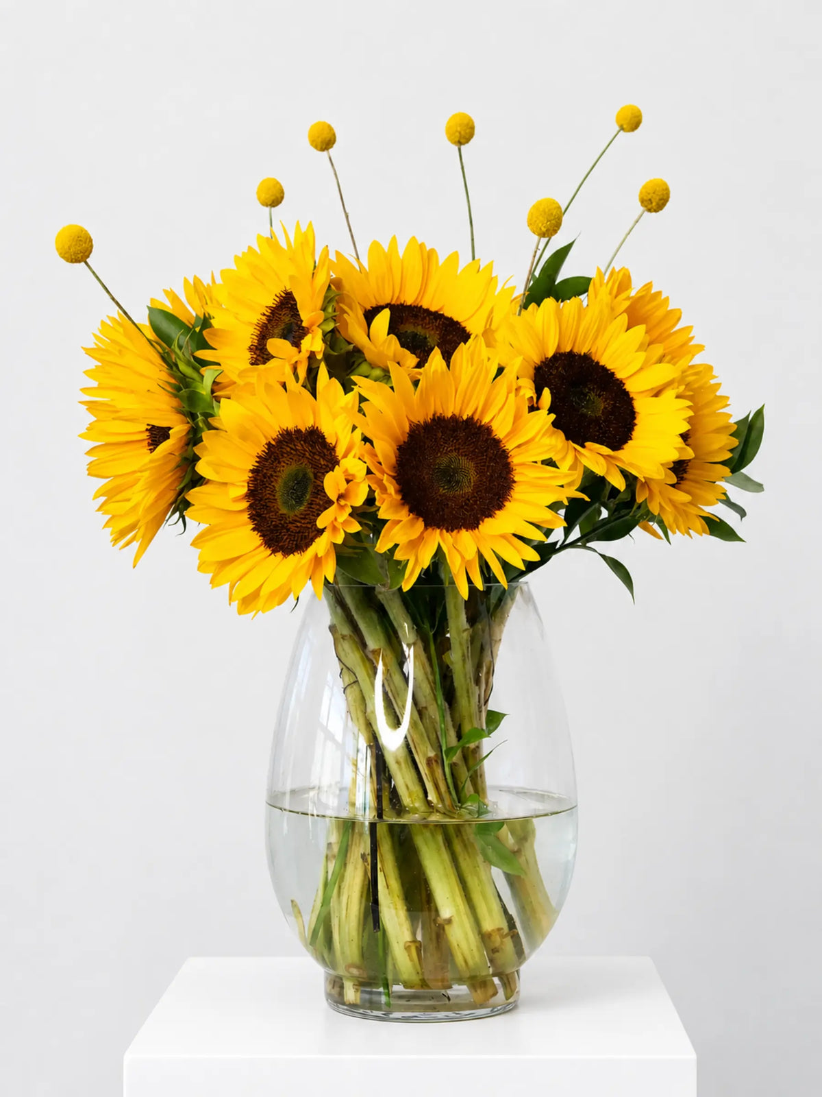 Vibrant sunflower arrangement featuring golden sunflowers, yellow billy buttons (craspedia) and green foliage in clear glass vase - fresh cut flower bouquet for home or gift