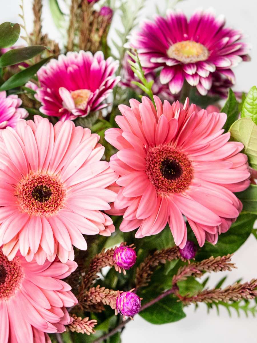 Mixed gerbera bouquet with light and dark pink daisies and greenery, symbolizing love, gratitude, and romance.
