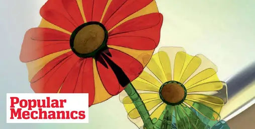Two paper flowers, one red and one yellow, with 'Popular Mechanics' logo.