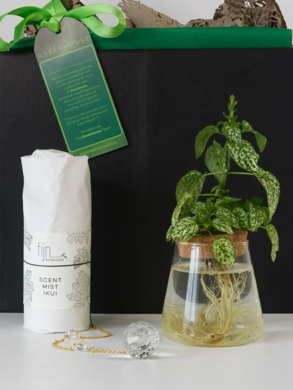 A close-up of The Suspended Serenity Hydroponic Plant Gift Set, featuring a black gift box with a green ribbon and tag, a Fijn Botanicals scent mist bottle wrapped in white tissue paper, a clear glass tapered vase with a cork lid holding a vibrant green and white Polka Dot Plant with visible roots in water, and a crystal ball on a gold chain.
