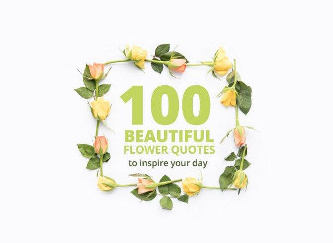 100 beautiful flower quotes to inspire your day - Bloomable