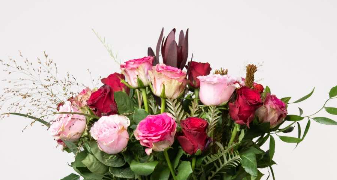 Pink is the New Red: All About Valentine’s Day Flower Colours