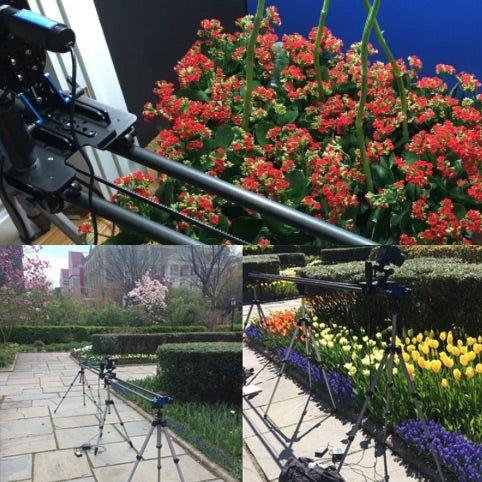 Amazing Footage of a 3 Year Flower Timelapse - Bloomable