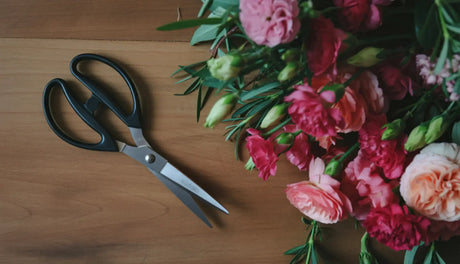 How to Keep Cut Flowers Fresh: Simple Tips That Actually Work
