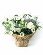 White and greenery-filled floral basket celebrating a summery South African-style Christmas with sparkling silver accents.