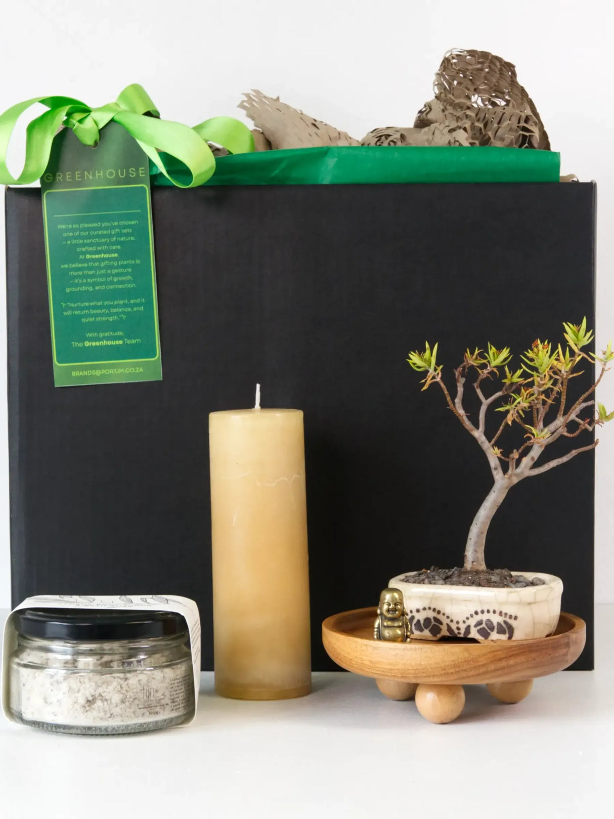 Branches of Balance Bonsai Gift Set featuring Money Tree Bonsai, candle, fynbos scrub, and tea cup in black gift box.