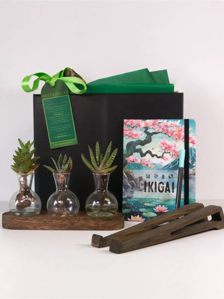 Clear Connection mindful desk gift set with wooden plant tray, three glass hydroponic vessels, Ikigai purpose journal, dark ash laptop stand, and premium gift packaging