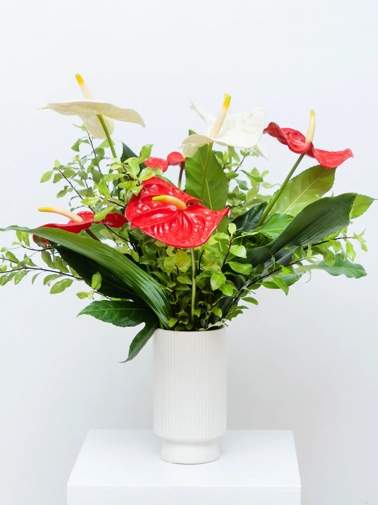 Red anthurium flower arrangement with mixed green foliage in white ceramic vase - modern tropical bouquet