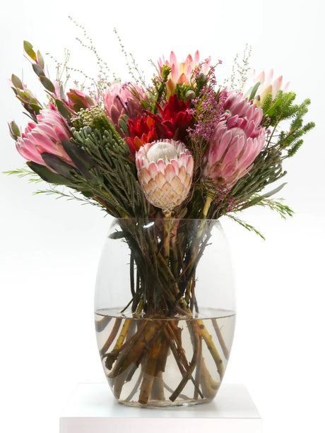 Stunning Fynbos arrangement featuring pink and white proteas, vibrant leucadendron, and lush foliage in a clear vase.