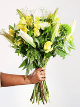 Hand-held yellow and white flower bouquet with yellow lilies, yellow alstroemeria, white chrysanthemums, green dianthus and baby's breath showing size - fresh vibrant gift arrangement