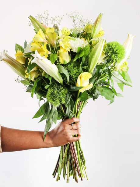 Hand-held yellow and white flower bouquet with yellow lilies, yellow alstroemeria, white chrysanthemums, green dianthus and baby's breath showing size - fresh vibrant gift arrangement