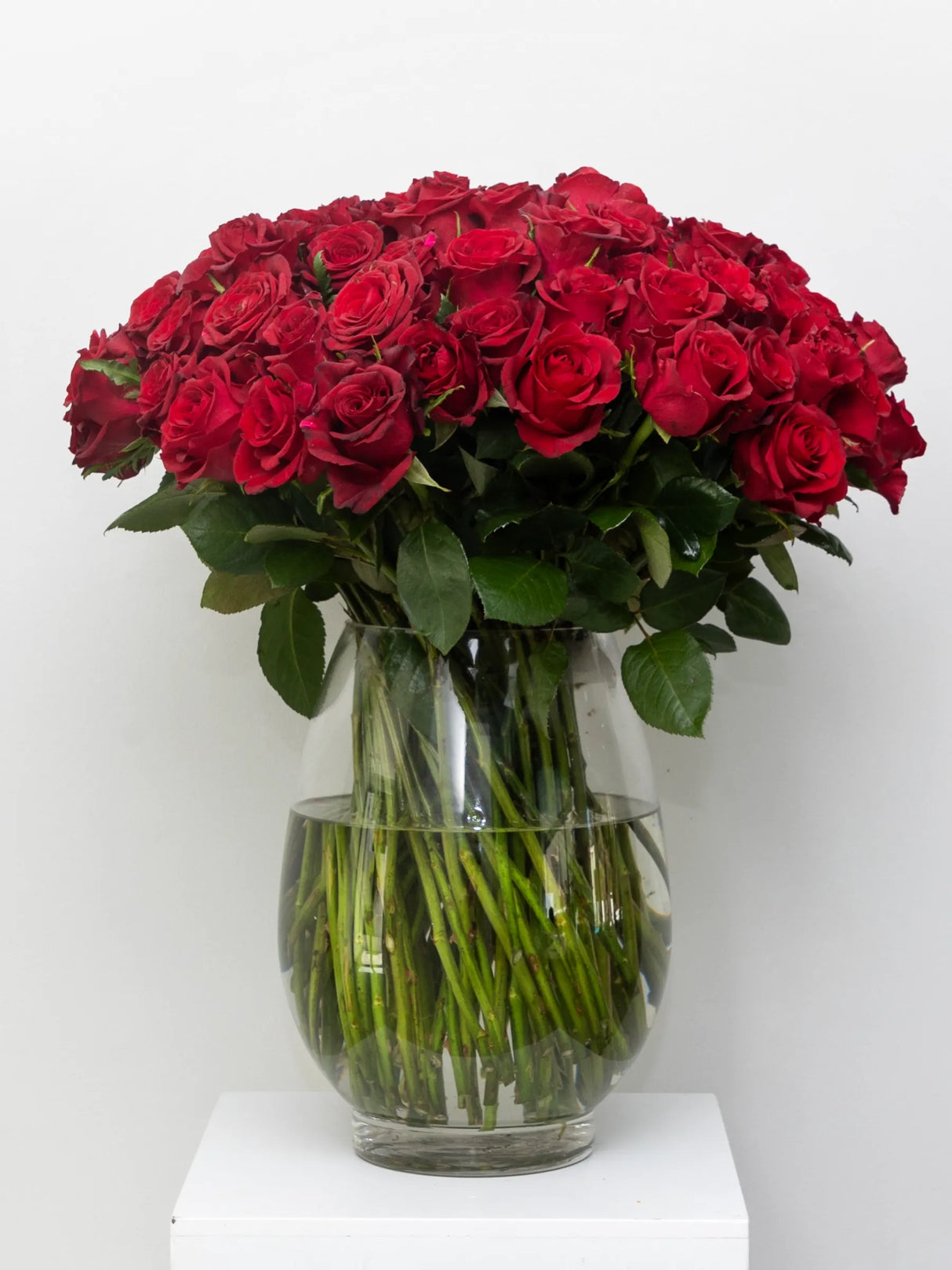 Bouquet of red roses in a clear vase on a white background