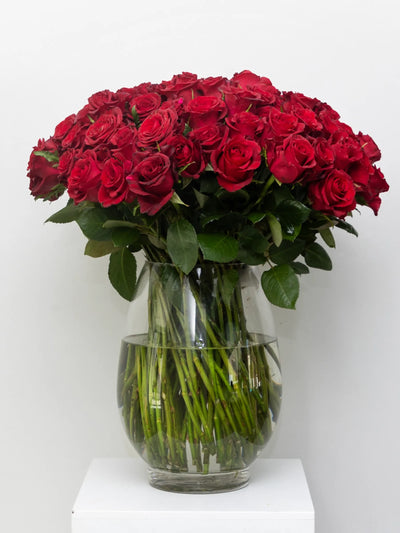 Luxury Roses