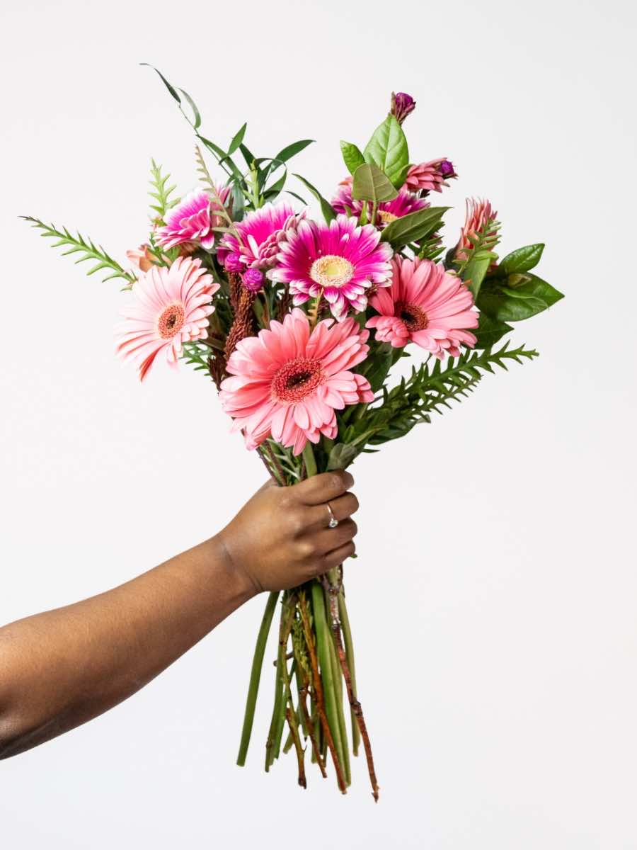 Hand holding bright mixed gerbera bouquet with pink daisies and greenery, symbolizing loyalty and gratitude.