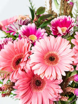 Mixed gerbera bouquet with light and dark pink daisies and green foliage, symbolizing love and joyfulness. Ideal for expressing gratitude.