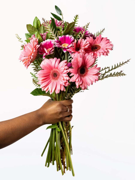 Mixed gerbera bouquet with light and dark pink daisies and greenery held in hand, symbolizing love, loyalty, and joyfulness.