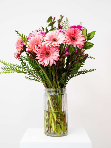 Mixed gerbera bouquet with light and dark pink flowers in a clear vase, featuring lush greenery, symbolizing love and joyfulness.