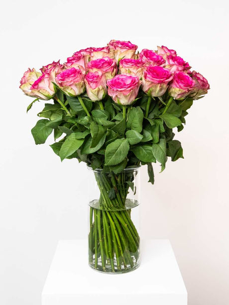 Elegant bouquet of pink roses in a glass vase, perfect for expressing love and admiration with a vintage touch.