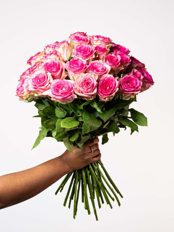 Hand holding a vibrant bouquet of pink roses, perfect for expressing love and adding elegance to any room. Ideal retro inspired gift.