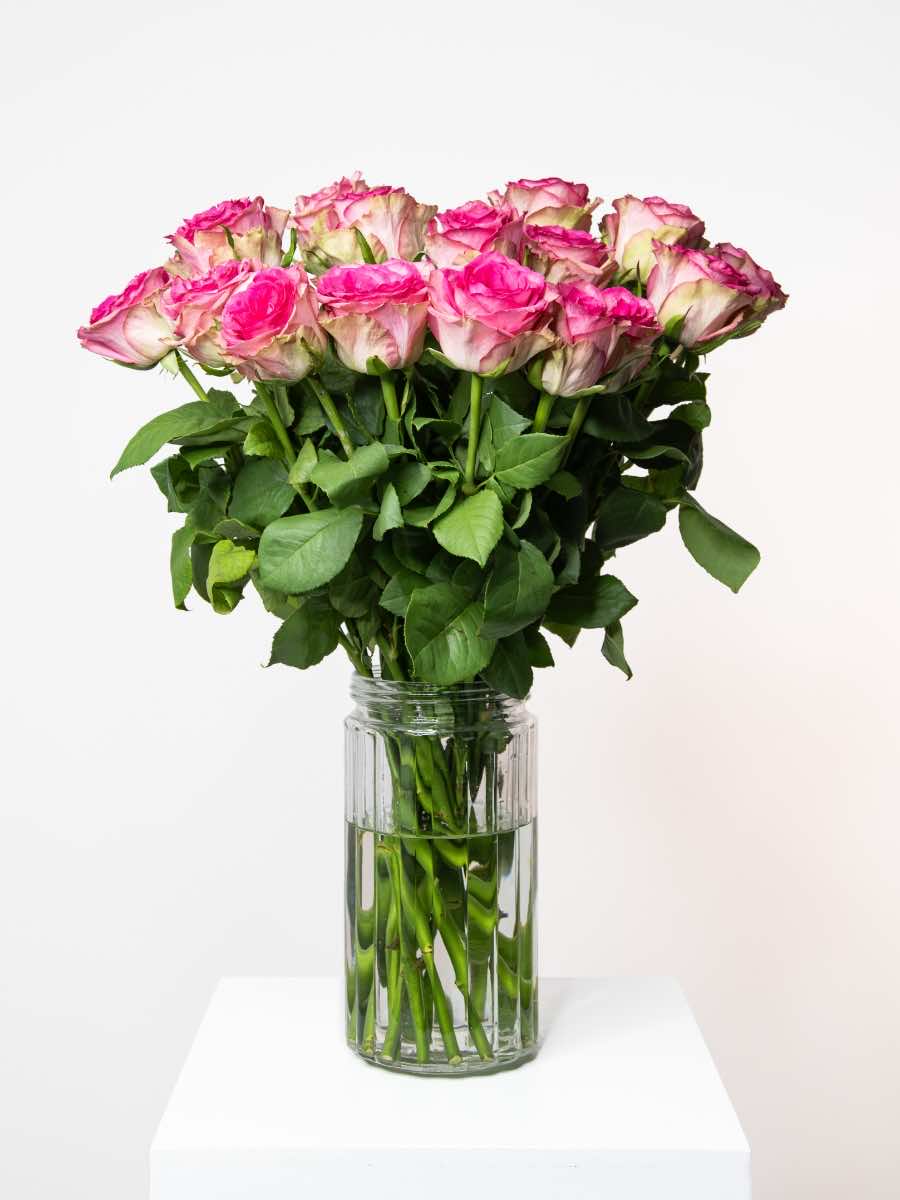 Elegant bouquet of pink roses in a glass vase, perfect for expressing love and admiration, adding retro charm to any room decor.
