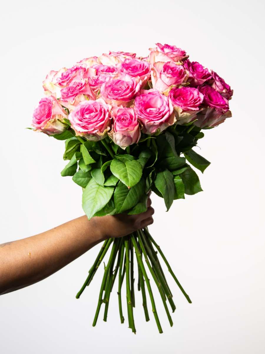 Hand holding a bouquet of vibrant pink roses, perfect for expressing love and adding vintage beauty to any room.