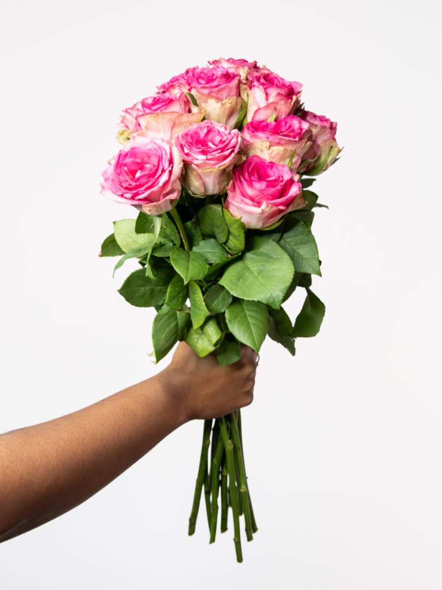 Hand holding a bouquet of pink roses, perfect for gifting love and gratitude. Creates a romantic, vintage-style centerpiece.