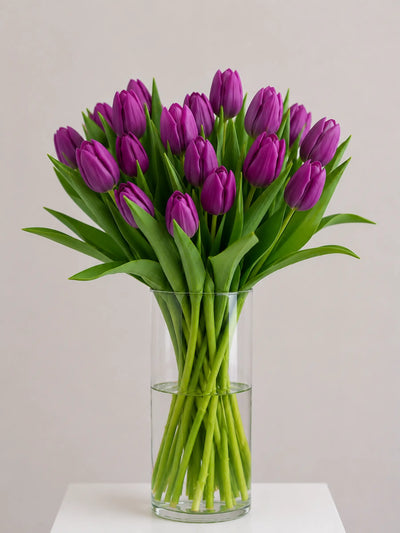 Shop Seasonal Fresh Flowers Perfect For Winter
