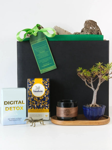 Root & Reflect Bonsai Gift Set featuring a Money Tree Bonsai, tea set, and wellness items for mindfulness and tranquility.