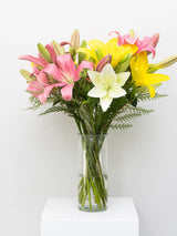 Bouquet of pink, yellow, and white lilies in a clear vase on a white background