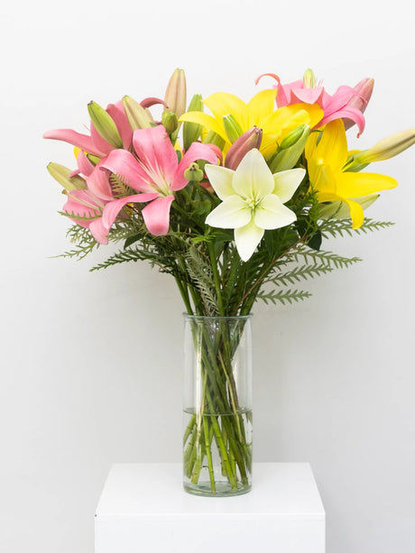 Bouquet of pink, yellow, and white lilies in a clear vase on a white background