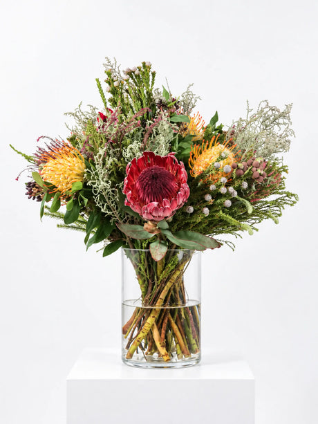 Arrangement of a red protea, yellow and orange pincushion proteas, brunia and fynbos foliage in a clear glass cylinder vase
