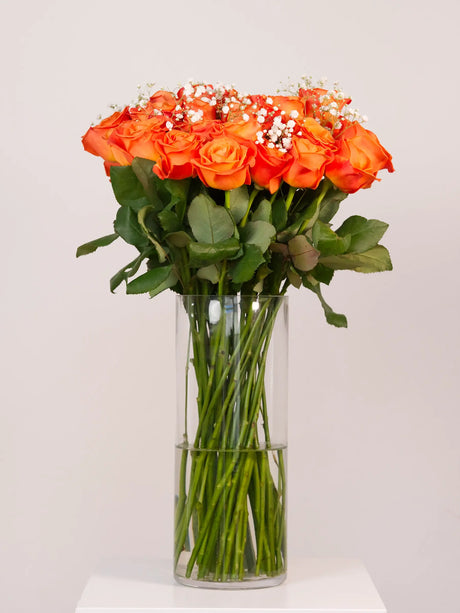 Bouquet of orange roses in a clear vase on a white background