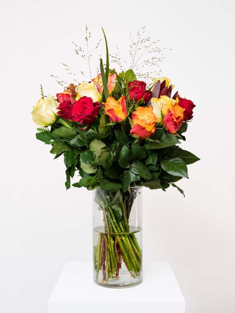 Alt text:
"Bloomable's Mixed Roses bouquet in a clear glass vase on a white pedestal. Features an elegant arrangement of deep red roses, bright yellow roses, and sunset orange-yellow bicolour roses with delicate grasses and rich green foliage. Perfect for Mother's Day, Valentine's Day, anniversaries, or expressing warm emotions with same-day delivery across South Africa.