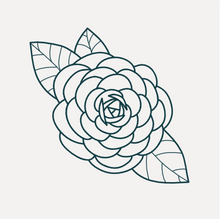 No Vase