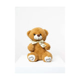 Large Teddy