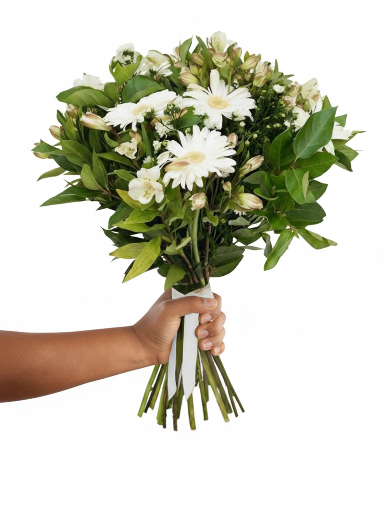Bouquet of white flowers with green leaves held by a hand on a white background