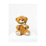 Medium Teddy