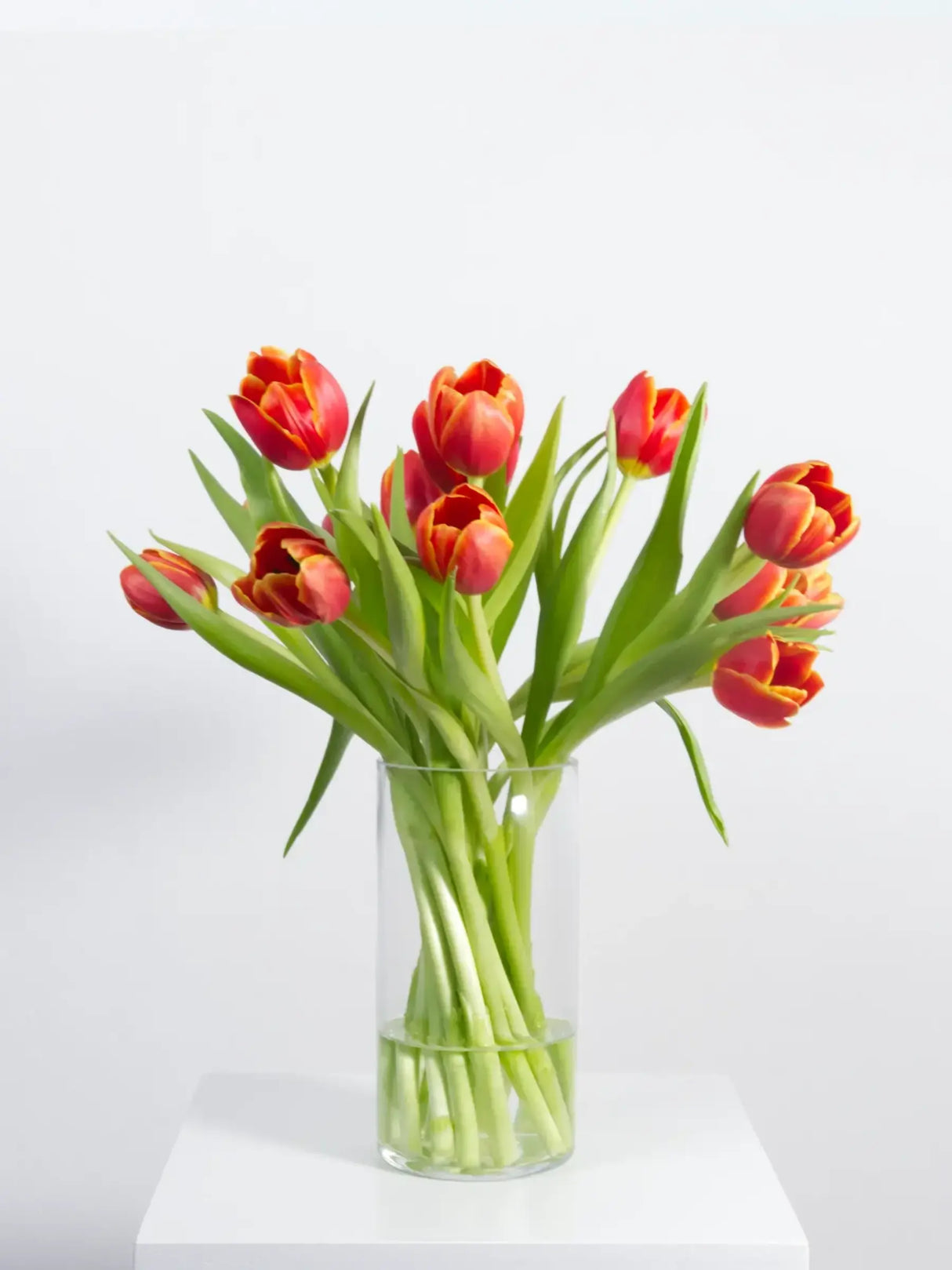 Clear glass vase with orange tulips on a white background