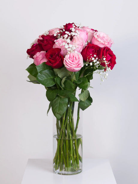 Pink and red rose bouquet with gypsophila in a glass vase