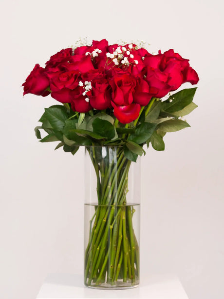 Bouquet of red roses in a clear vase on a white background
