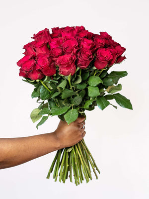 Love Supreme Red Rose Bouquet
              
            

            
              
                from
              

              R 584.00


              

              
            
          
          
            
              
                 
 4.7 Rated 4.7 out of 5 stars104 Reviews {"averageRating":"4.7","reviewCount":104} 
              
            
            
              Buy