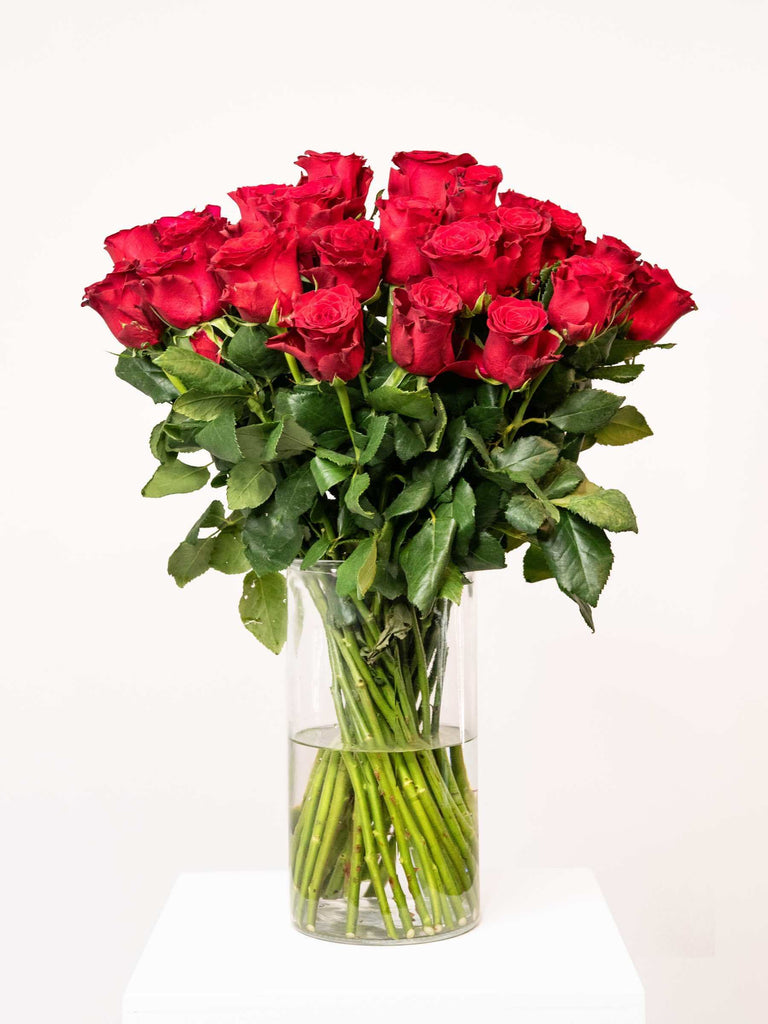 Rustenburg Flower & Gift Delivery – Bloomable