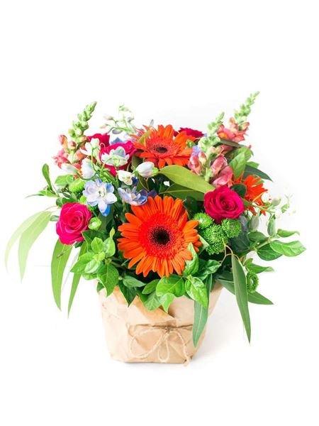 Bright posy with orange gerberas, cerise and orange roses, blue delphinium, and maroon snapdragons arranged beautifully for great value.