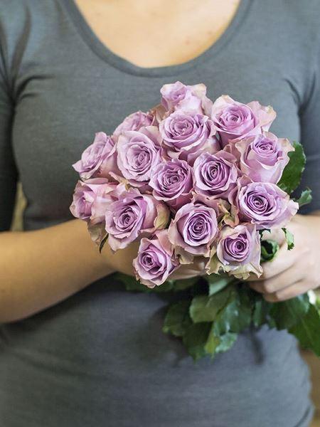 Fifteen Lilac Small (15 Roses) (As Shown) Bloomable
