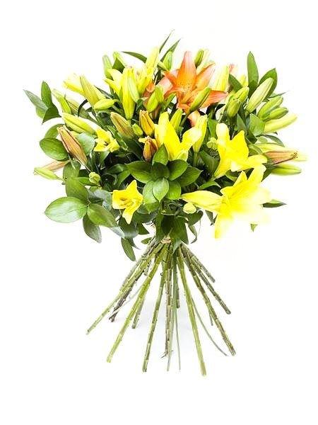 Mixed lily bunch with green fillers wrapped in paper and ribbons, featuring buds that add elegance to "Get Well" or sympathy gifts.
