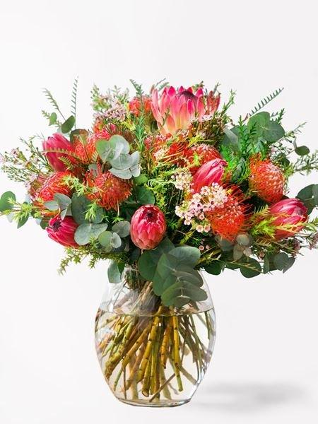 Phenomenal Protea + Fynbos Arrangement Large (As Shown) Bloomable