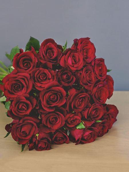 Two Dozen Romantic Red Medium (24 Roses) (As Shown) Bloomable